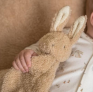 Arthur et Zoe Doudou 'Lapin' de Little Dutch (Baby Bunny)